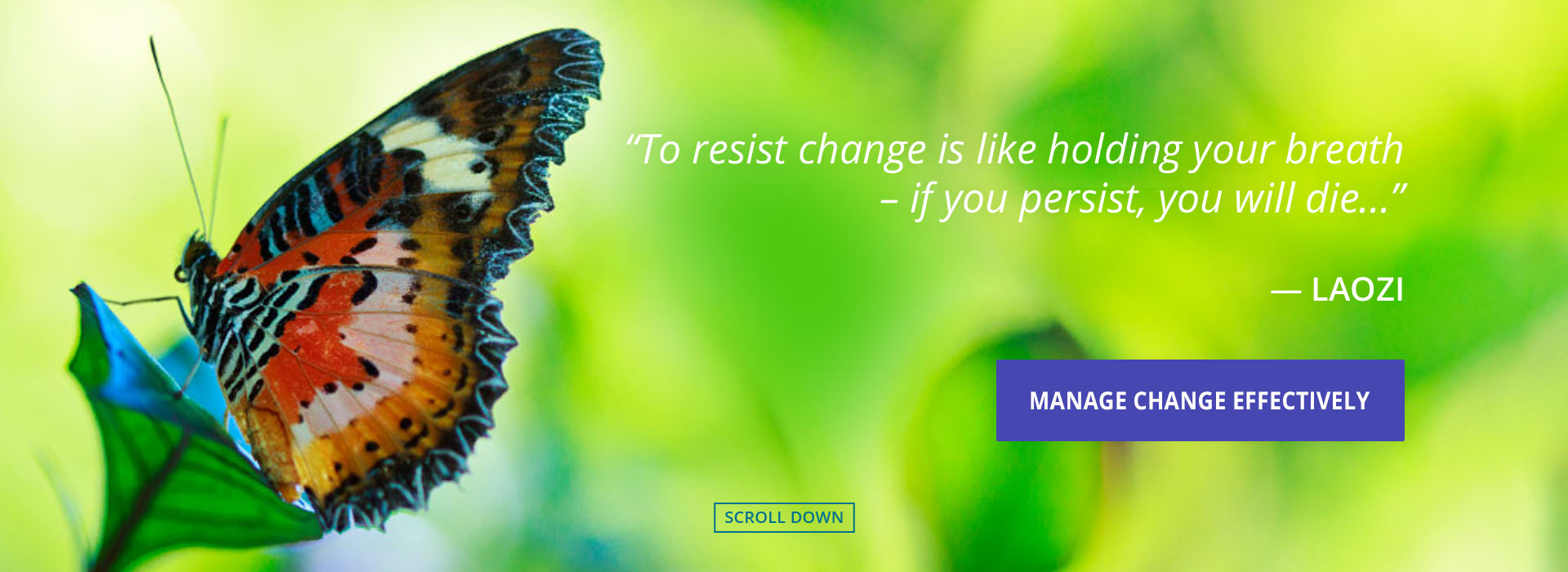 Homepage_banner2.jpg